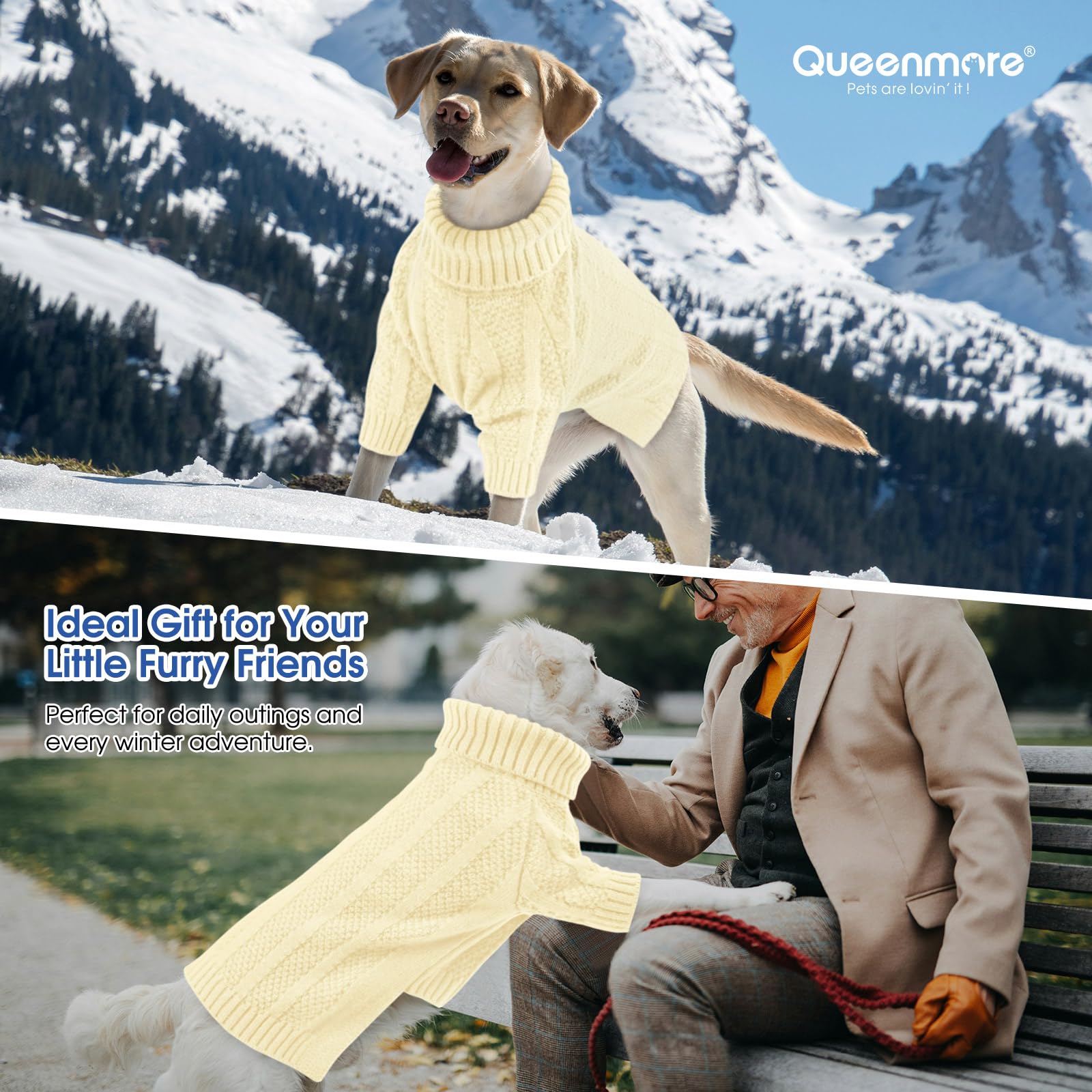 Queenmore small dog sweater holiday-wear suitable for festive outings and photo moments.