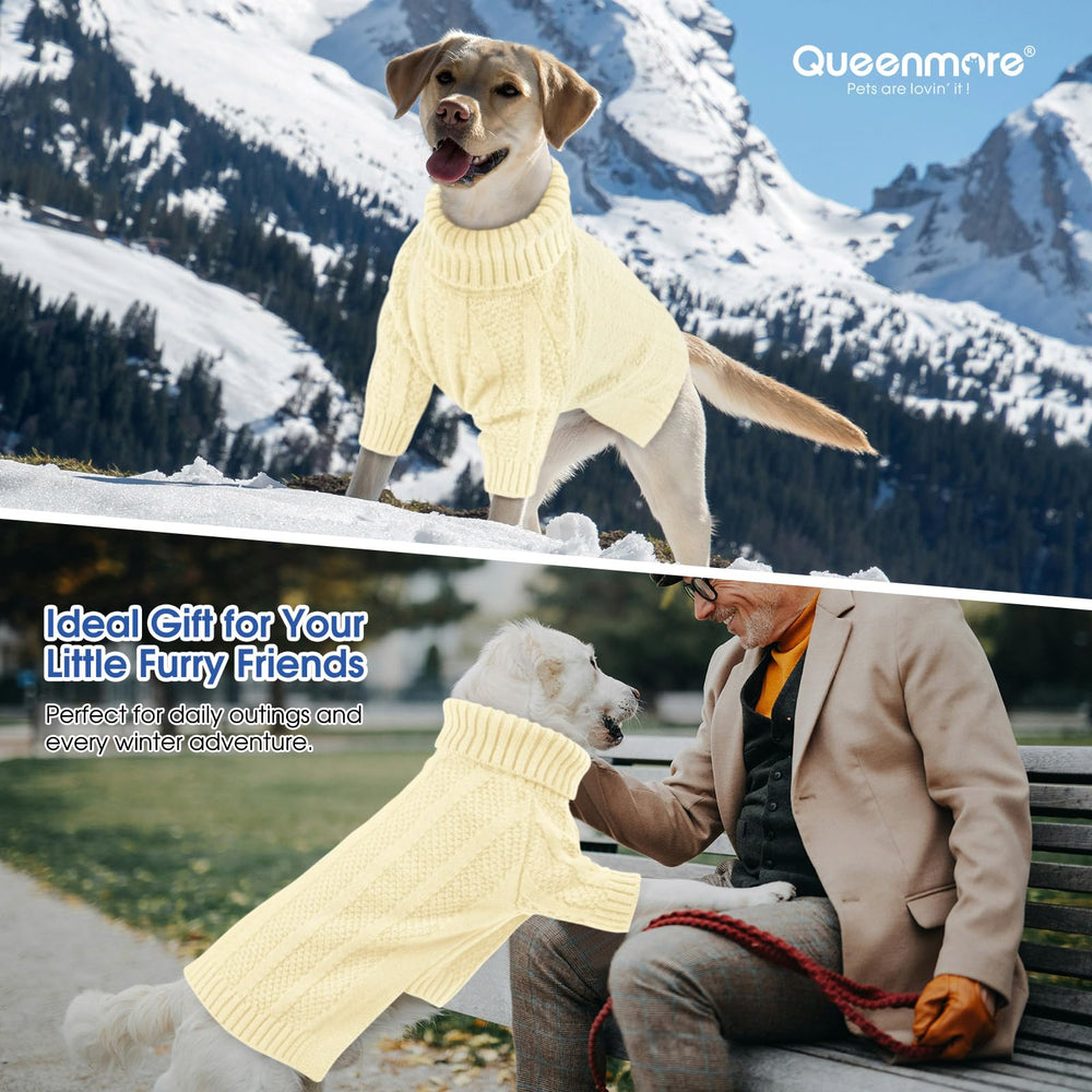 Queenmore small dog sweater holiday-wear suitable for festive outings and photo moments.
