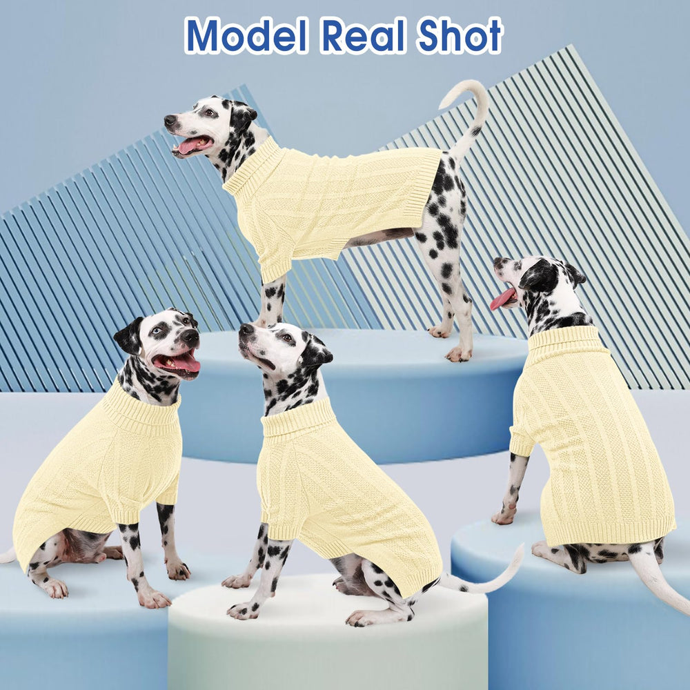 Queenmore small dog sweater worn indoors or outdoors for versatile cold-weather comfort.