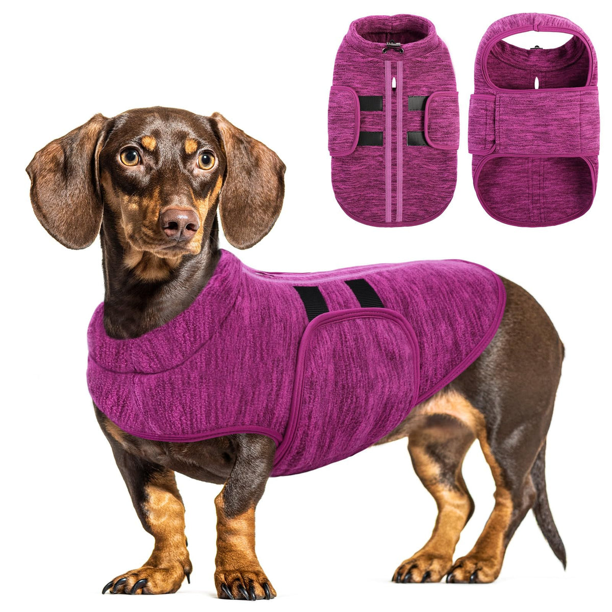 Queenmore small dog sweater back view showing leash hole for secure walks