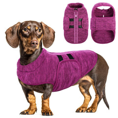 Queenmore small dog sweater back view showing leash hole for secure walks