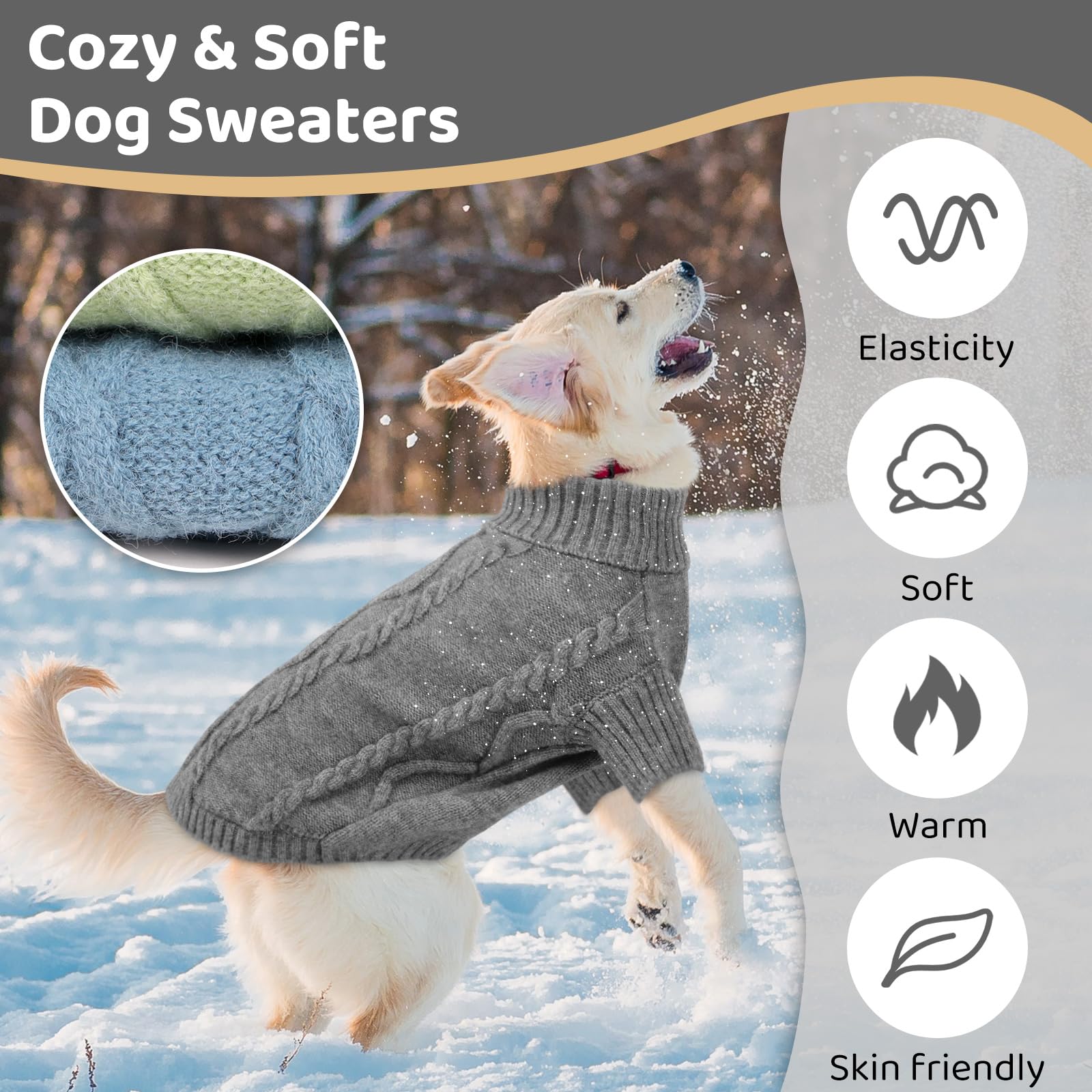 Queenmore small dog winter outfit on a pup ready for cold days