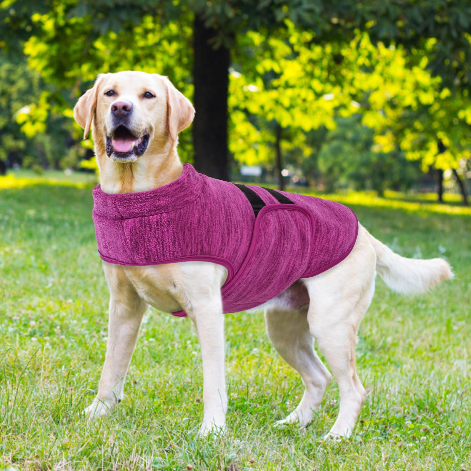 Queenmore soft micro-elastic polyester fleece suitable for sensitive skin