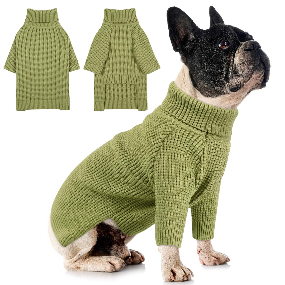 Queenmore waffle-knit small dog sweater green front view for cozy fall walks