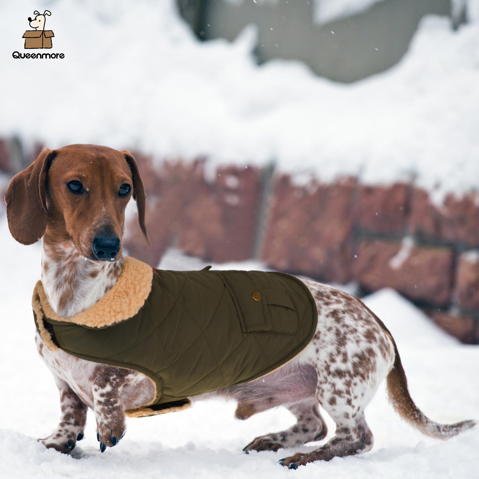 Queenmore warm coat dog back pocket detail highlights storage for snacks and bags.