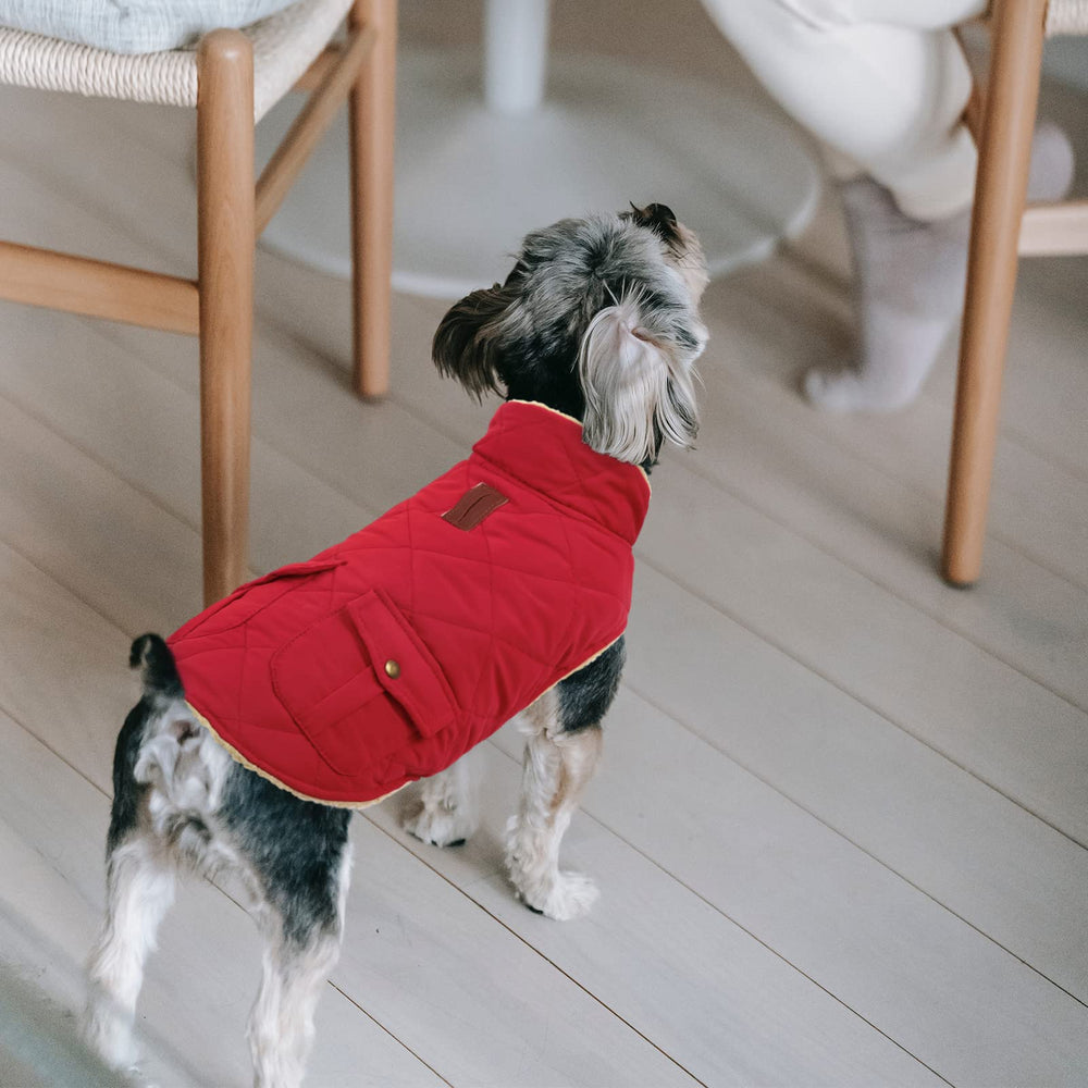 Queenmore warm coat shows turn-down collar that reveals plush interior.