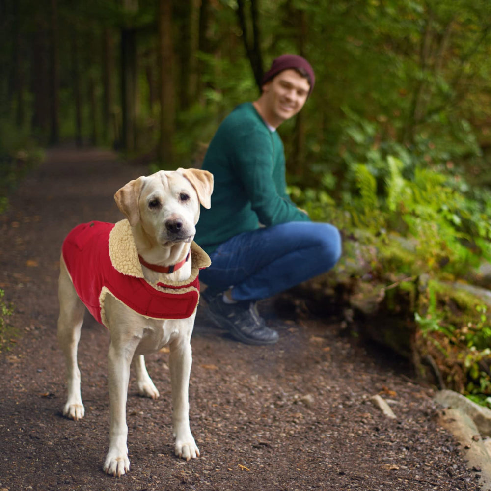 Queenmore warm coat windproof outer fabric blocks chilly gusts during walks.