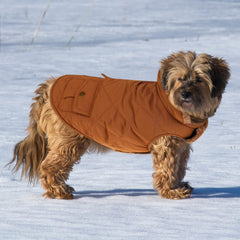 Queenmore warm dog coat back pocket highlights convenient storage for treats.