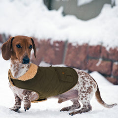 Queenmore warm dog coat back pockets visible for convenient storage.