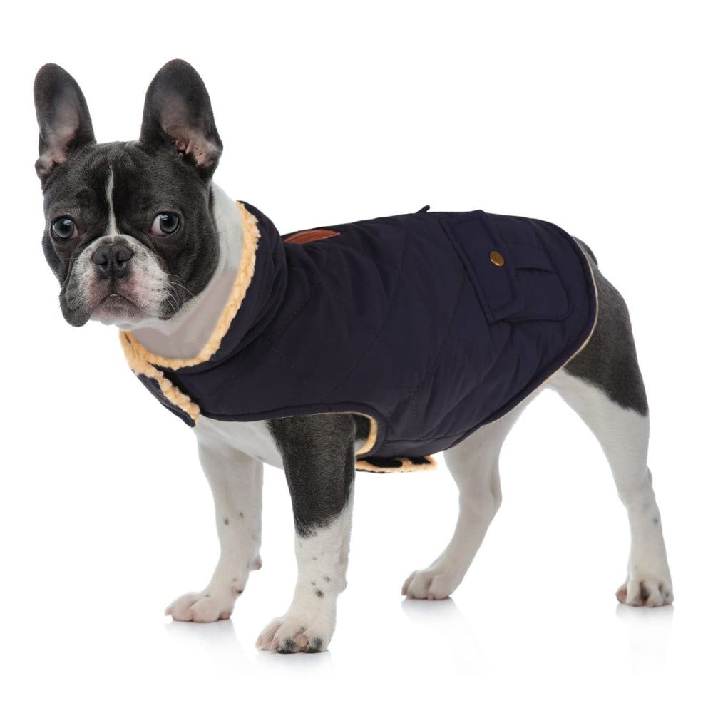 Queenmore Warm Dog Coat collar close-up shows plush beige lining.