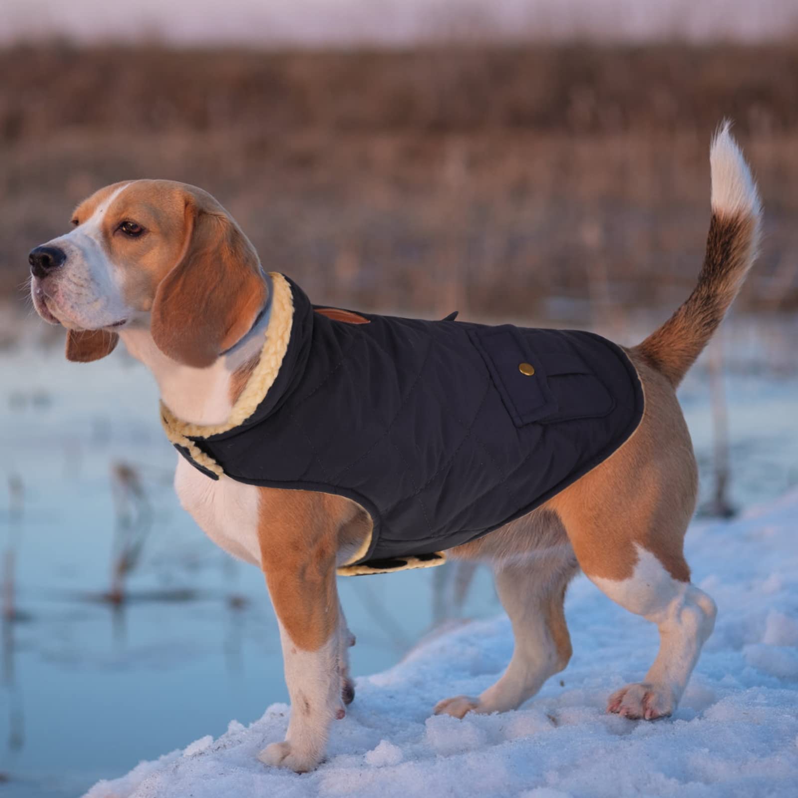 Queenmore Warm Dog Coat side view showcases windproof quilting and secure fit.