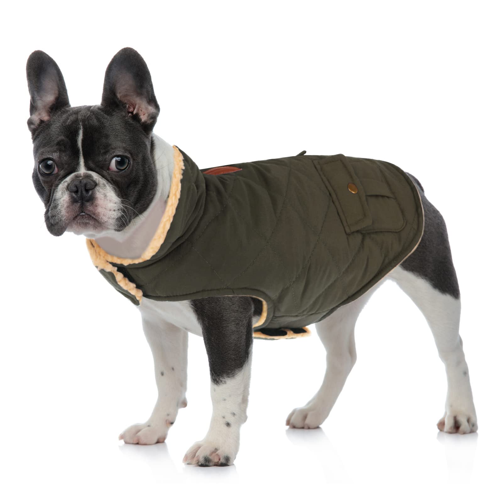 Queenmore back storage pockets keep treats and essentials handy on walks.