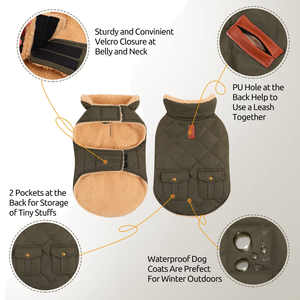 Queenmore windproof collar shields your dog from chilly gusts on outdoor strolls.
