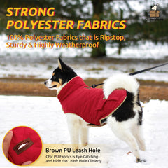 Queenmore warm dog coat leash-hole design keeps dog close