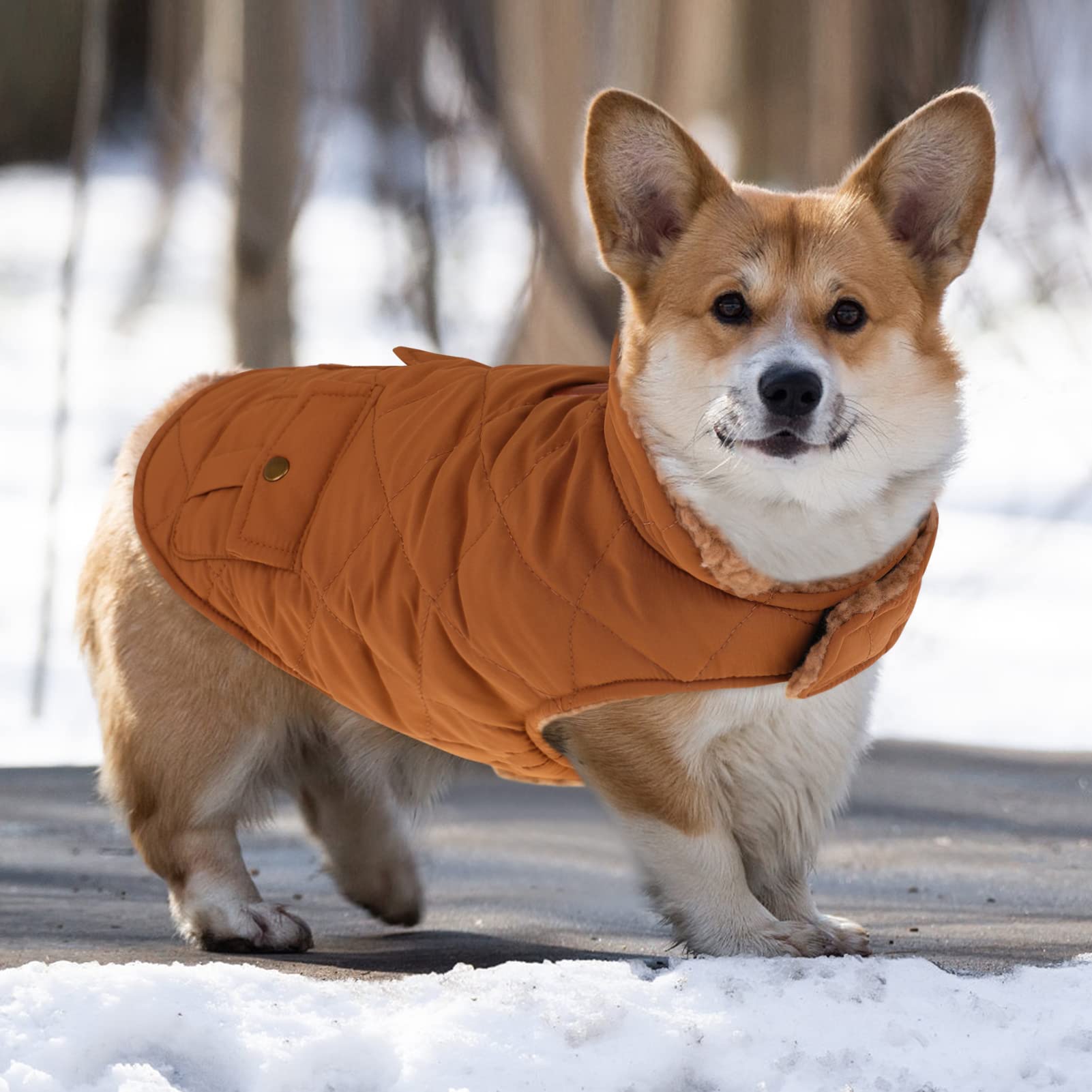 Queenmore Warm Dog Coat plush lining close-up showcases sherpa warmth.