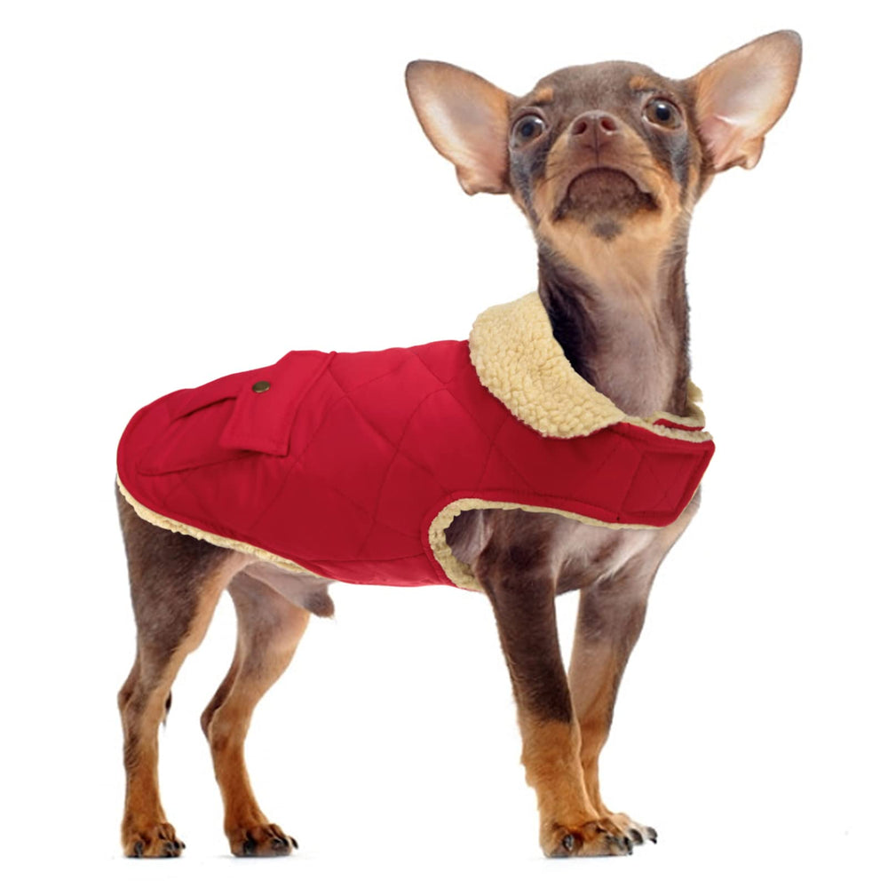Queenmore warm dog coat size chart shows XS XL options
