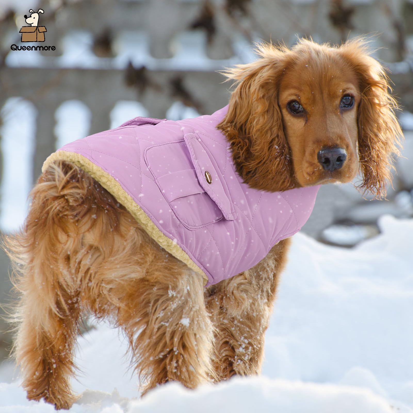 Queenmore sizes XS to XL fit small through large dogs