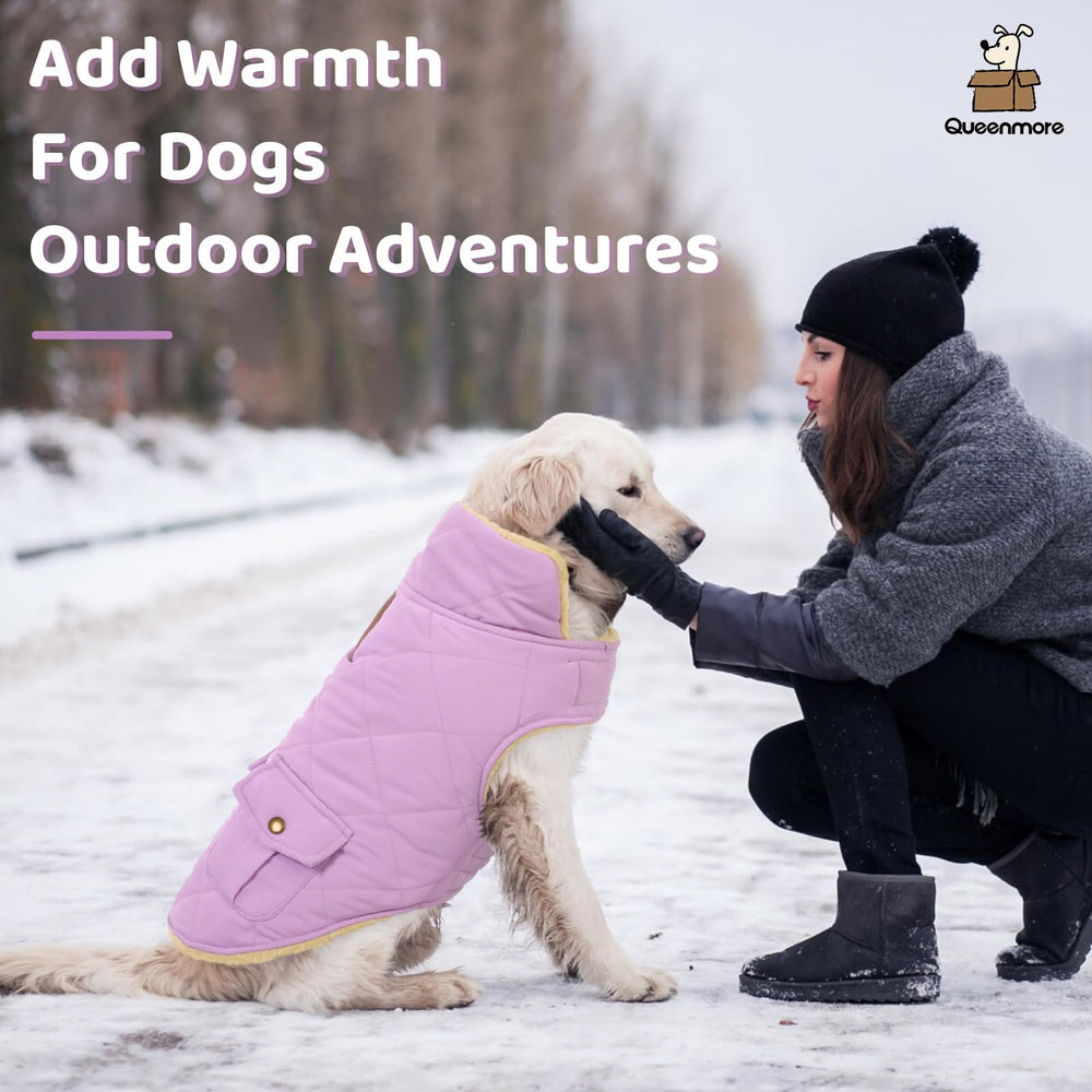 Queenmore warm dog coat size chart guidance for proper fit
