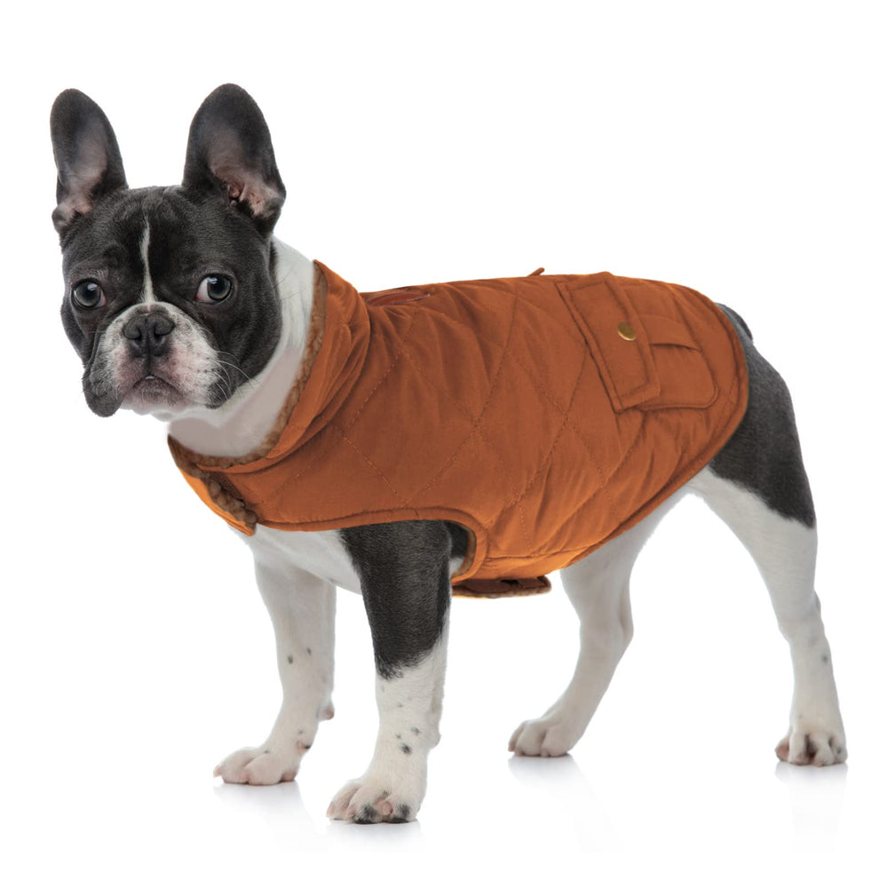 Queenmore Warm Dog Coat windproof stitching for protection against wind.