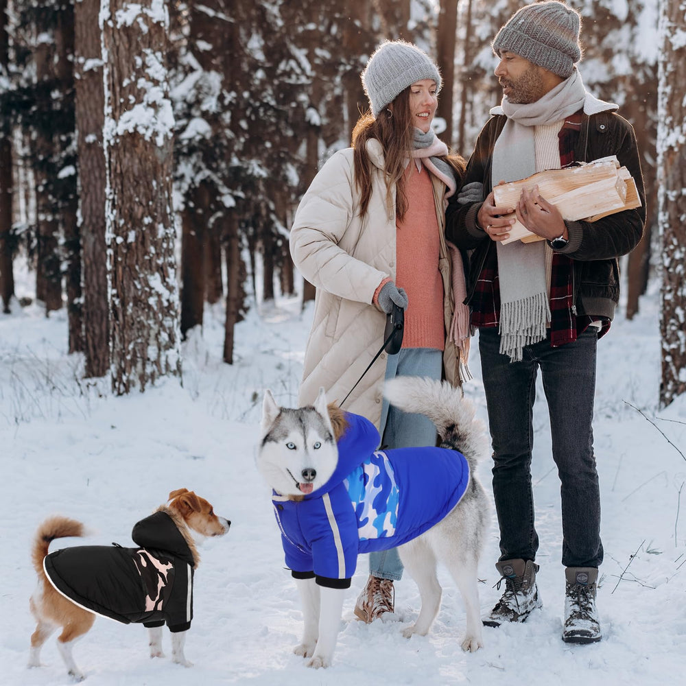 Queenmore warm dog winter coat interior plush lining enhances comfort