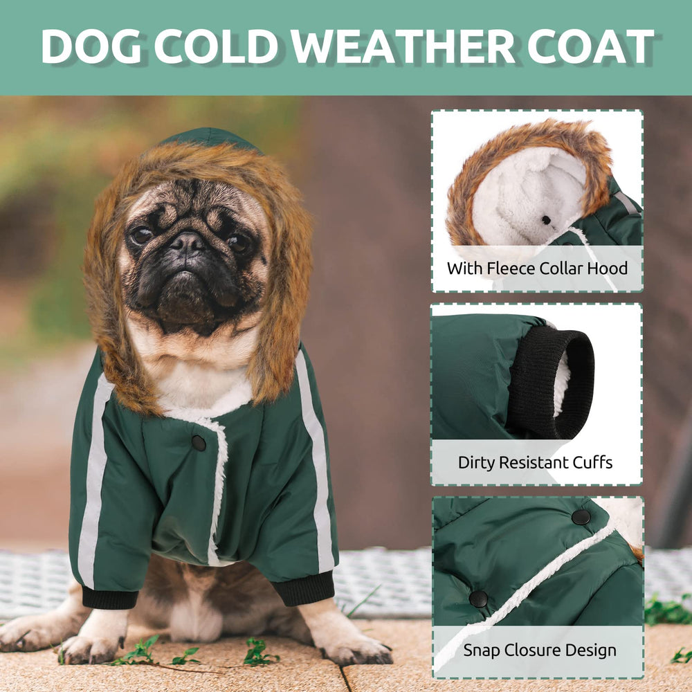 Queenmore warm dog winter coat hood detail highlights head protection