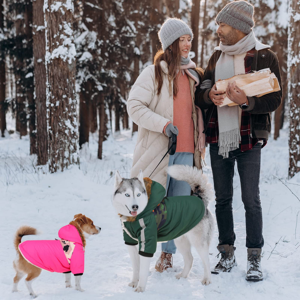 Queenmore warm dog winter coat outdoor use demonstrates waterproof and windproof protection