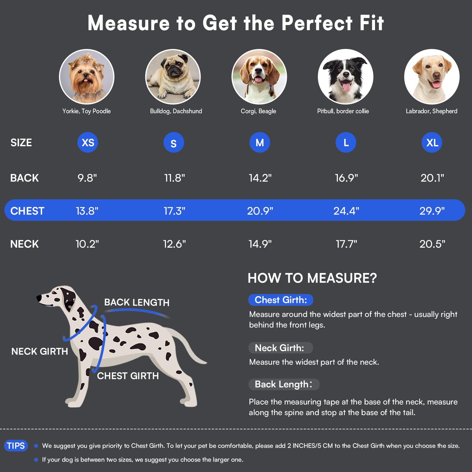 Queenmore warm dog winter coat reflective strips for nighttime safety