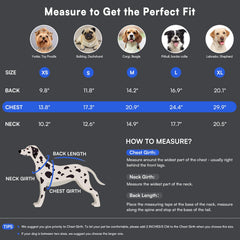 Queenmore warm dog winter coat reflective strips for nighttime safety