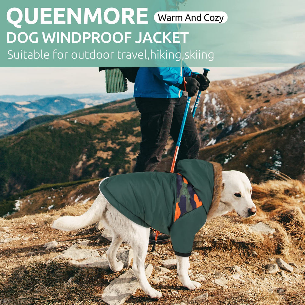 Queenmore warm dog winter coat sizes chart helps find the right fit