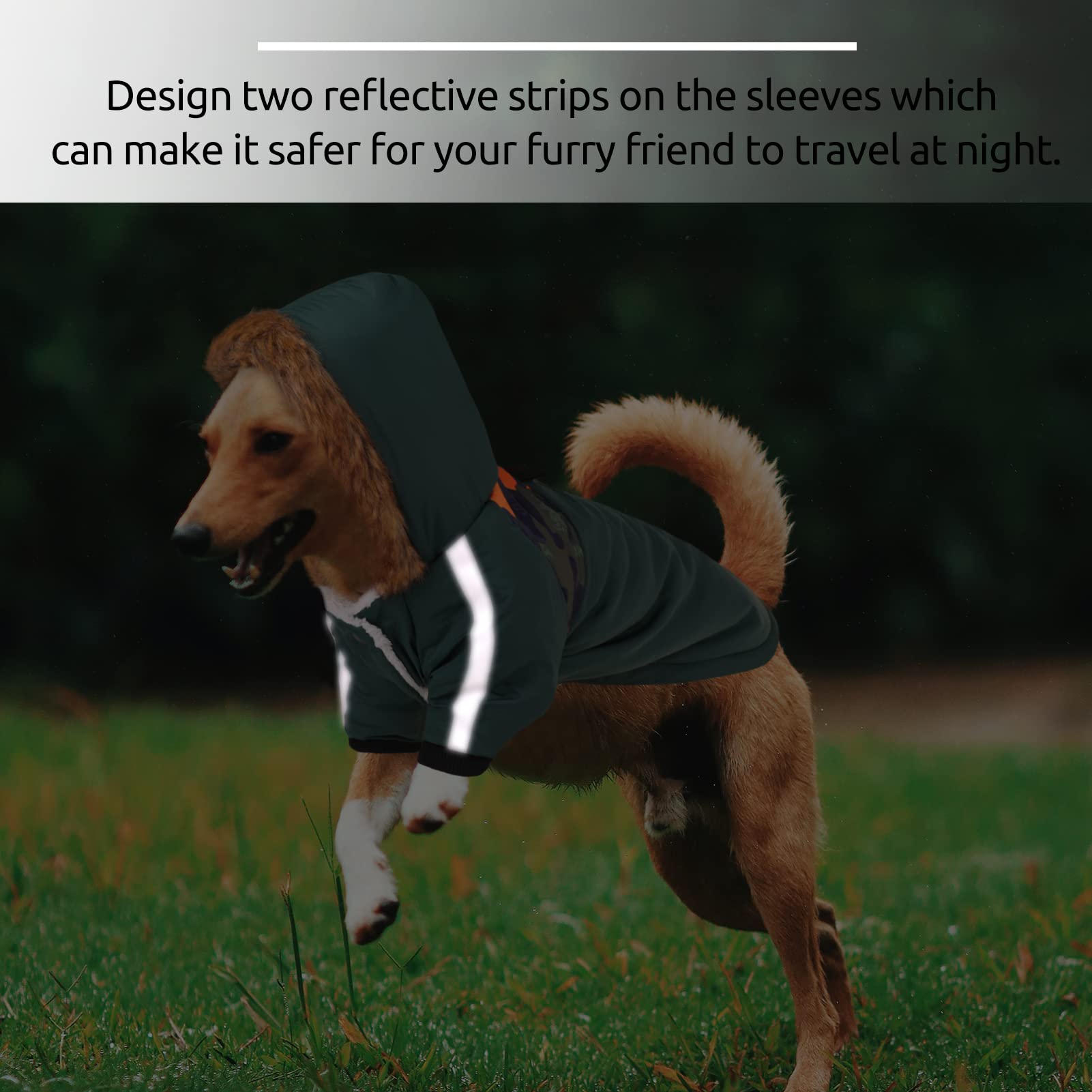 Queenmore warm dog winter coat sleeves with reflective strips improve night visibility