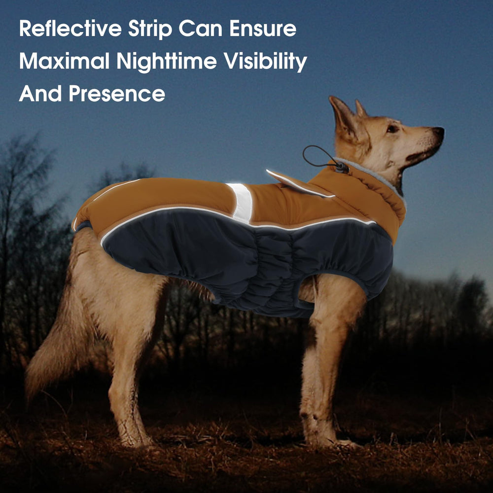 Queenmore collar close-up showing plush interior and snug neck fit.