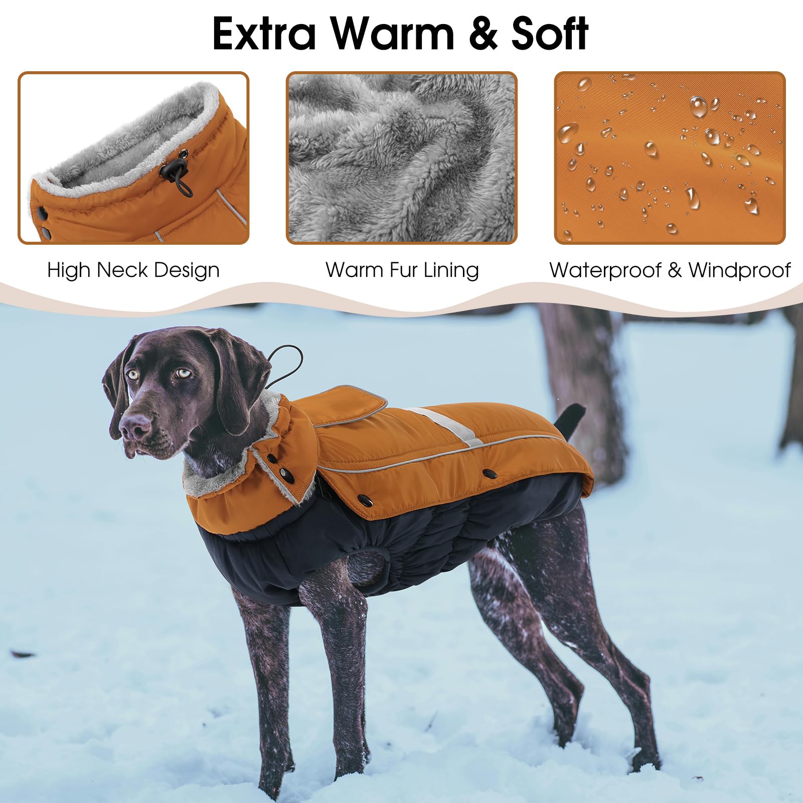 Queenmore leash-hole jacket side view demonstrating easy leash access during walks.