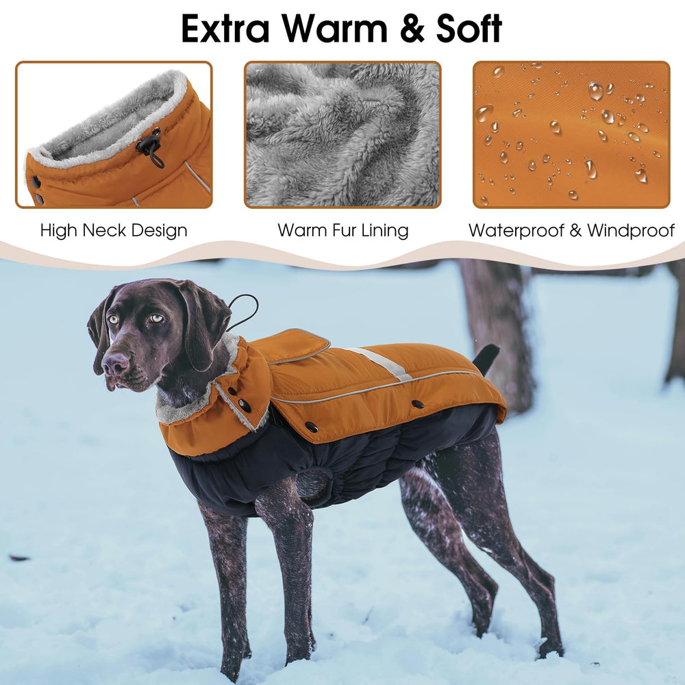 Queenmore leash-hole jacket side view demonstrating easy leash access during walks.