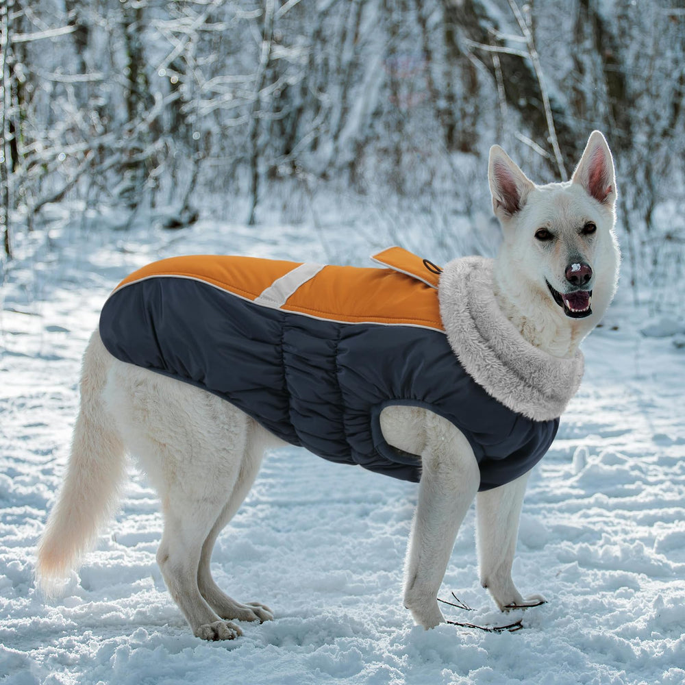 Queenmore size chart image to help pick the right dog jacket size.