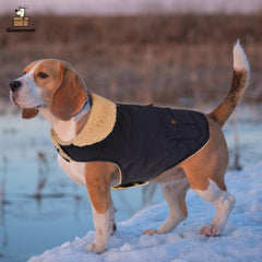 Queenmore warm puffer dog coat back view shows back pockets and sleek silhouette