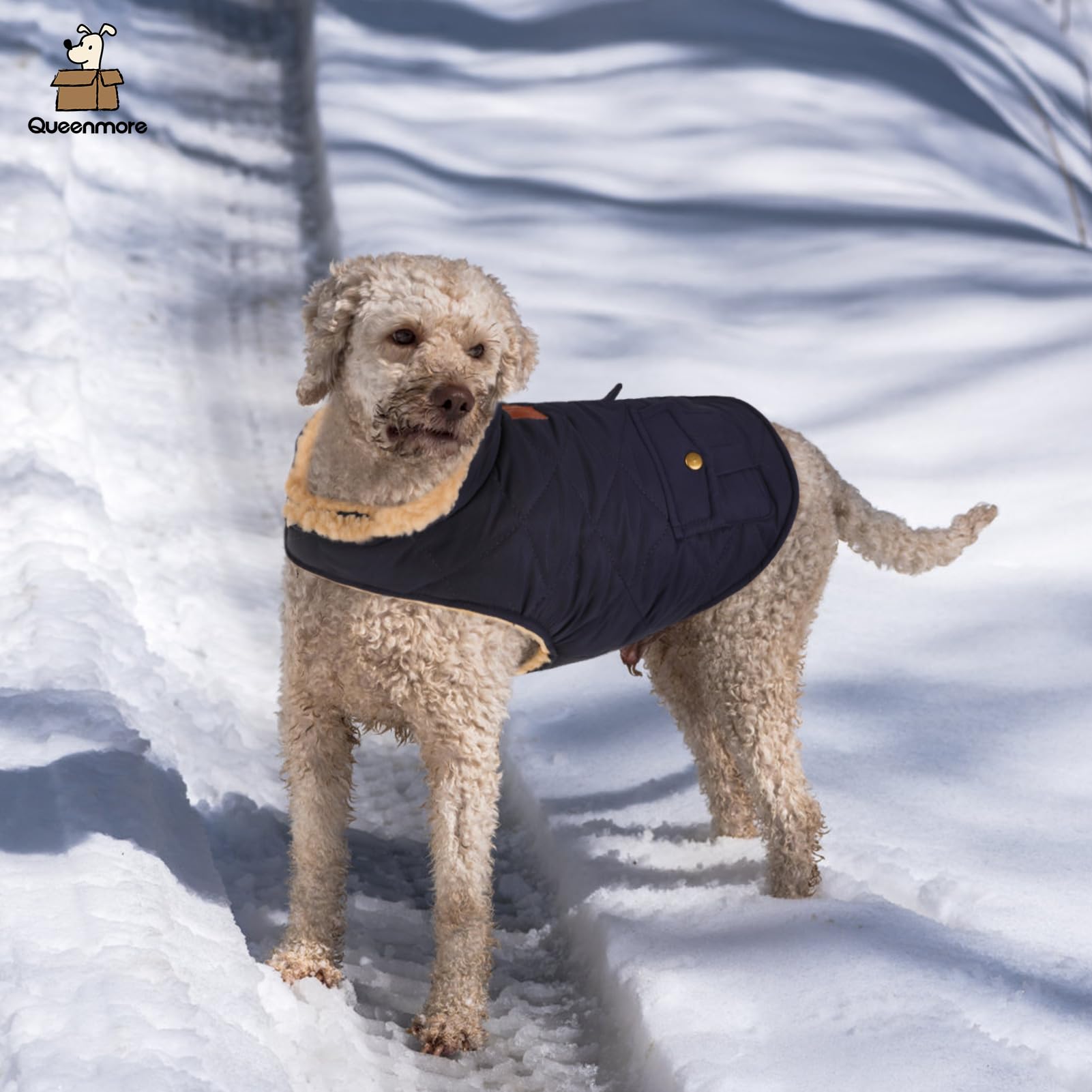 Queenmore warm puffer dog coat texture close-up of windproof outer material