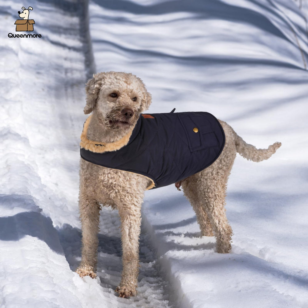 Queenmore warm puffer dog coat texture close-up of windproof outer material