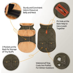 Queenmore leash hole for convenient walking without extra harness