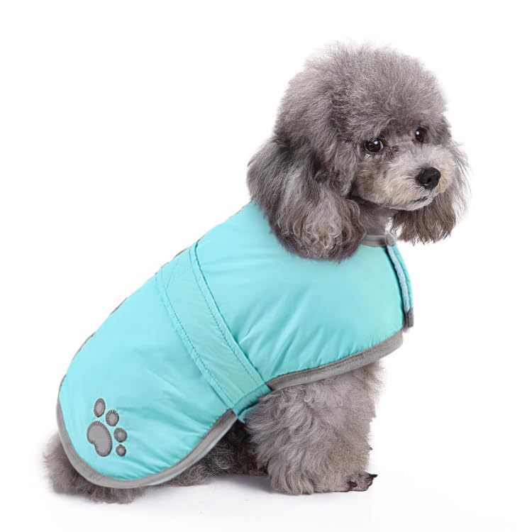 Queenmore Winter Coat front view in light blue shows a snug fit and warm fleece lining.