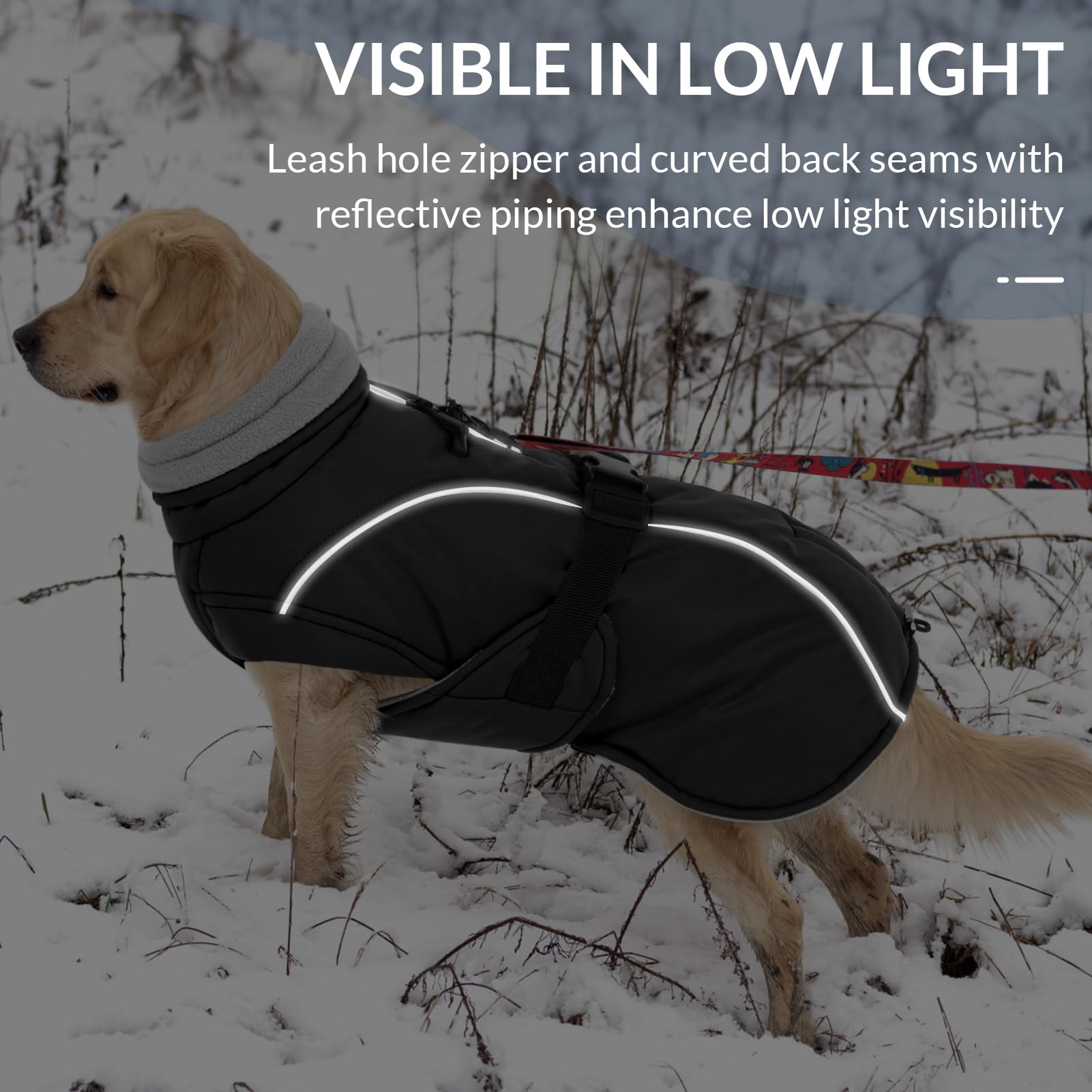 Queenmore winter dog coat dog-outdoor-wear suited for walks, hikes, and snowy days.