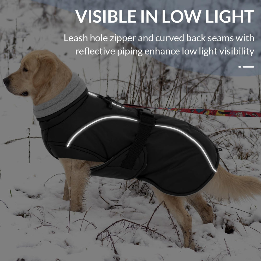 Queenmore winter dog coat dog-outdoor-wear suited for walks, hikes, and snowy days.
