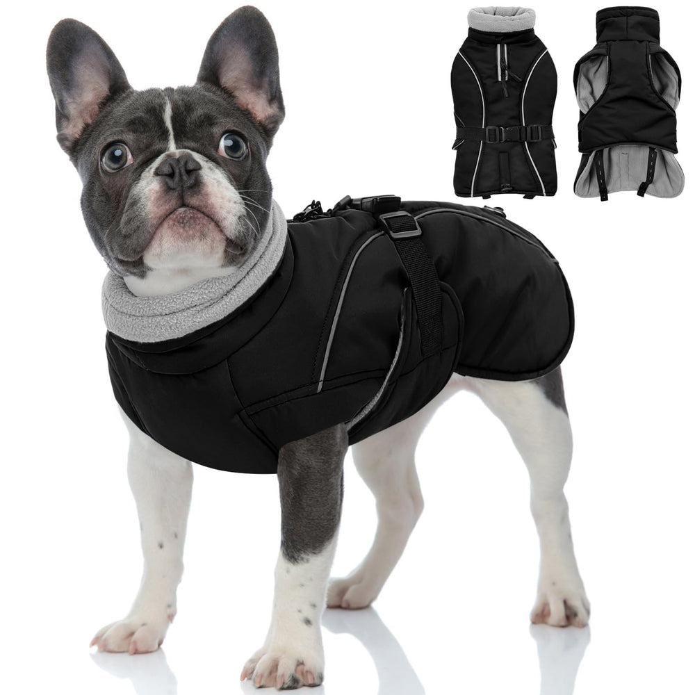 Queenmore winter dog coat with fleece lining for cozy warmth during cold walks.