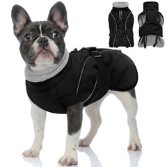 Queenmore winter dog coat with fleece lining for cozy warmth during cold walks.