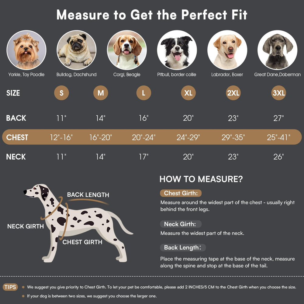 Queenmore winter dog coat leash-hole design enables versatile leash or harness use.