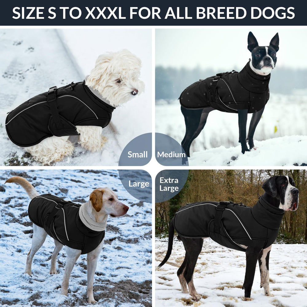 Queenmore winter dog coat various-sizes ensure a snug fit for all dogs.