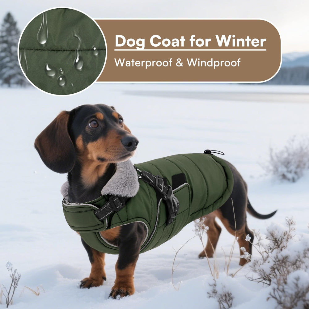 Queenmore jacket with inner D-ring leash attachment for easy leash connection.