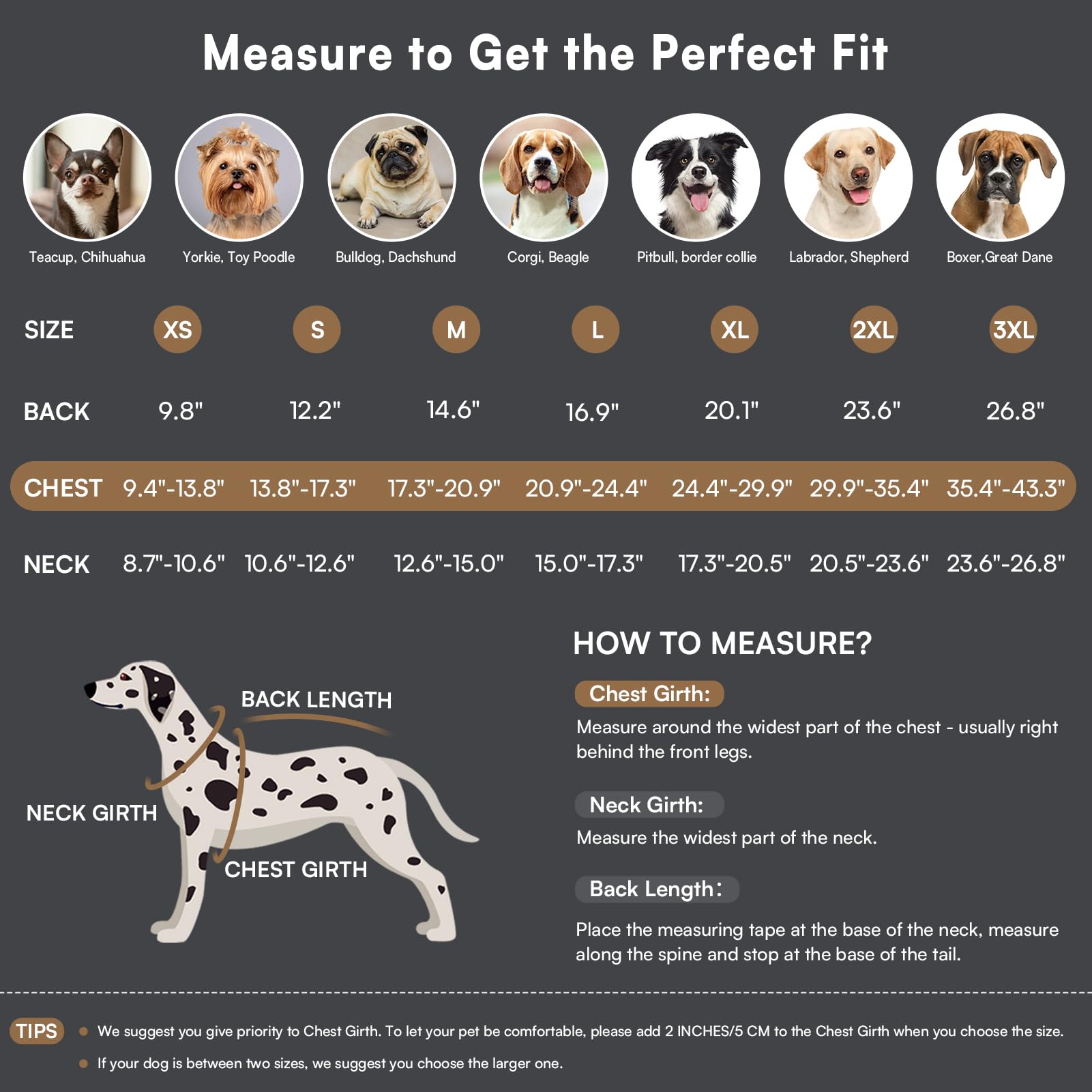 Queenmore jacket with soft fleece lining provides warm comfort on chilly walks.