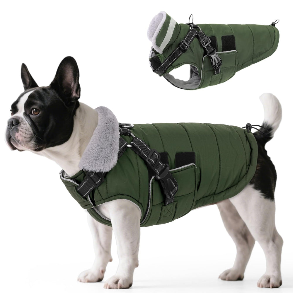 Queenmore winter dog jacket with built-in harness for secure leash attachment