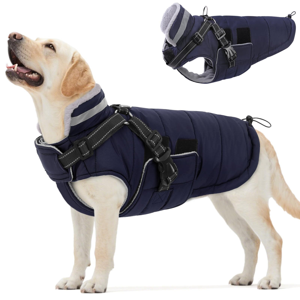 Queenmore winter dog jacket XXL navy with built-in harness for secure leash attachment