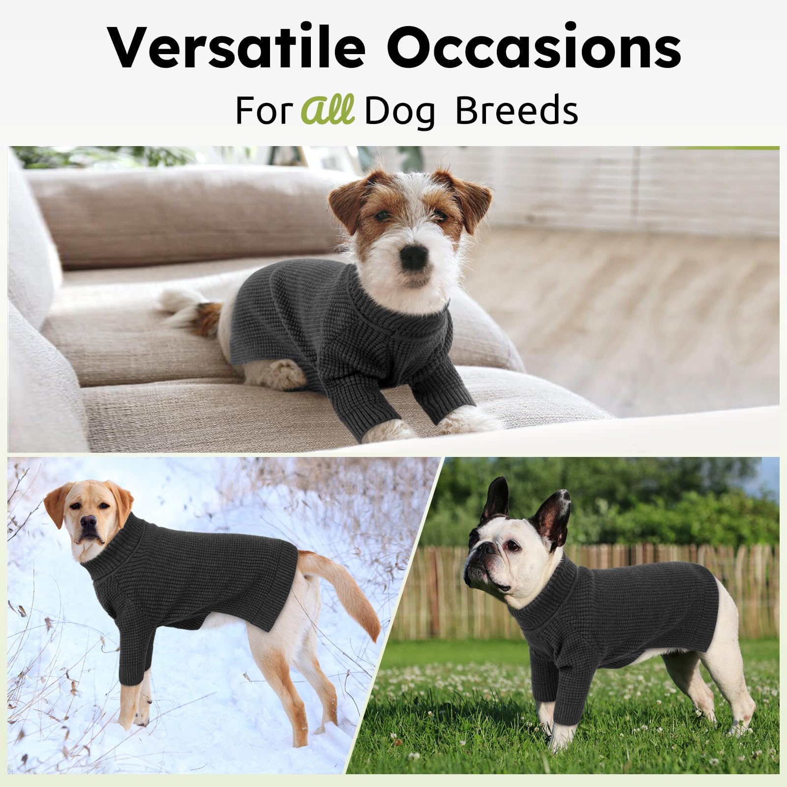 Queenmore winter pet sweater suitable for small to large dogs and cats.